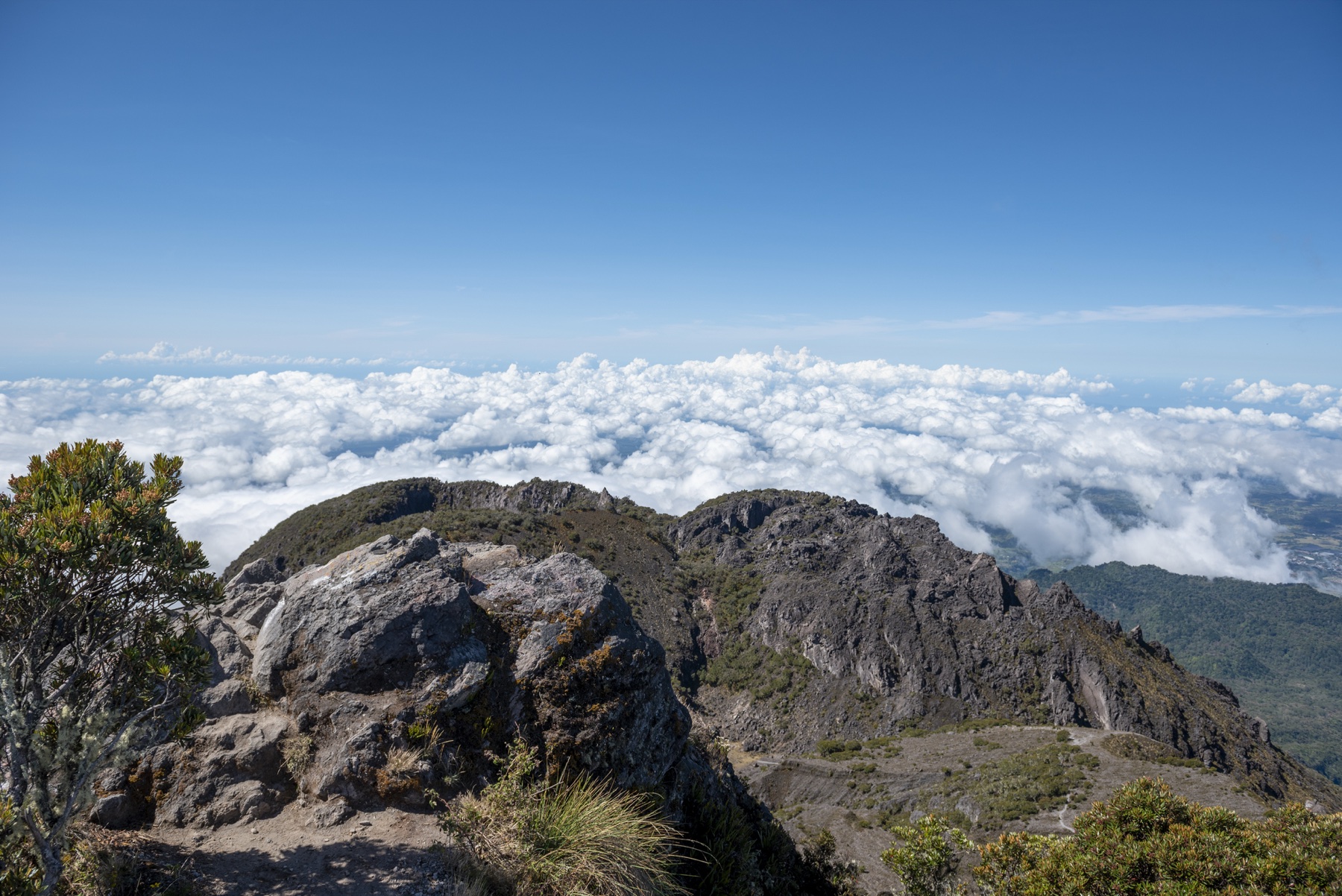 Rocky high mountain summit above a blanket of clouds and blue sky.
